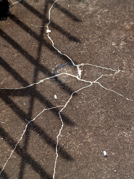 �ۉh�{�X�̉���