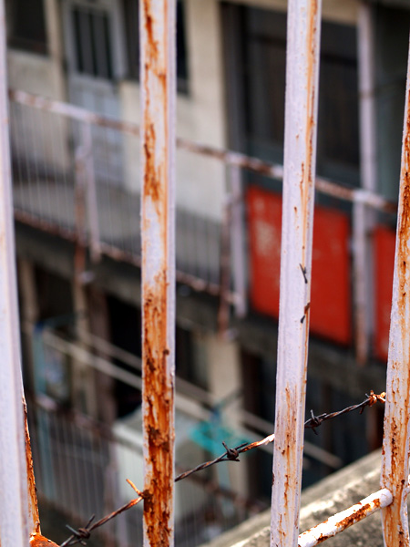 �ۉh�{�X�̉���