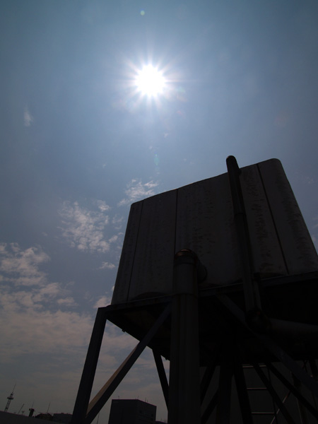 �ۉh�{�X�̉���