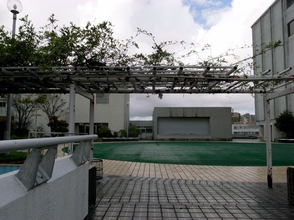 �߂��ĂG���U�̉���