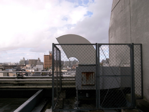 �߂��ĂG���U�̉���