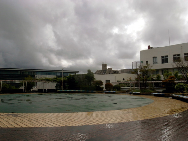 �߂��ĂG���U�̉���