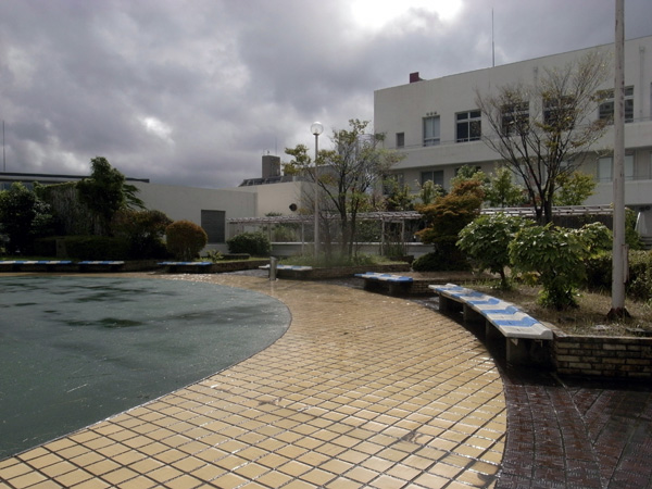 �߂��ĂG���U�̉���