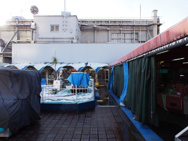 ���}�S�ݓX �����X ���ق̉���